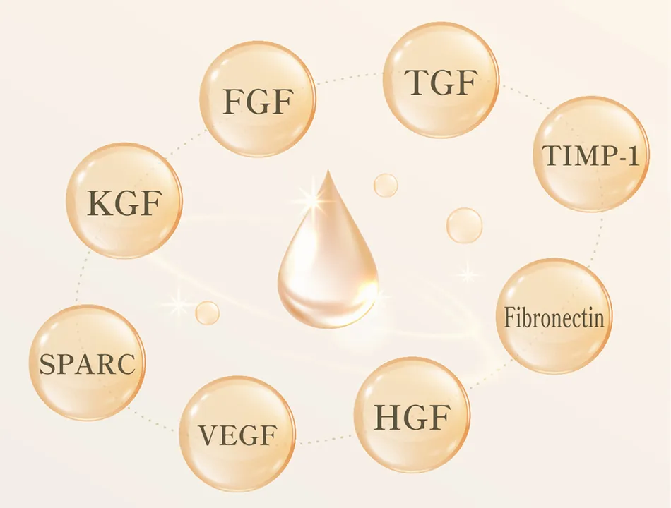 サイトカイン ー 美肌サポートに欠かせない成分郡