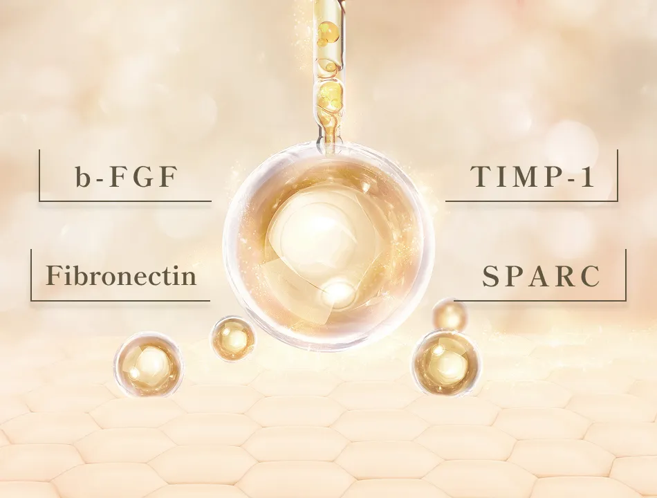 お肌に嬉しい『 4つの美容タンパク質 』を豊富に配合